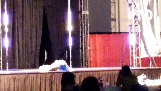 NAPDCC 2016 Erotic Pole Art - Leah Franklin2