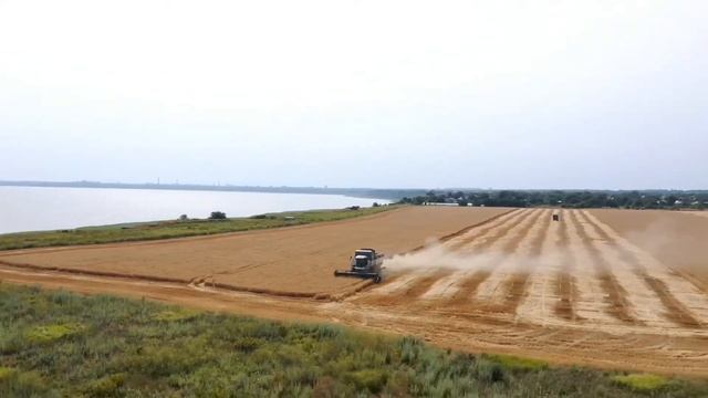 На экране влагомера 13,5%, а это  значит, что можно продолжать уборку💪😊