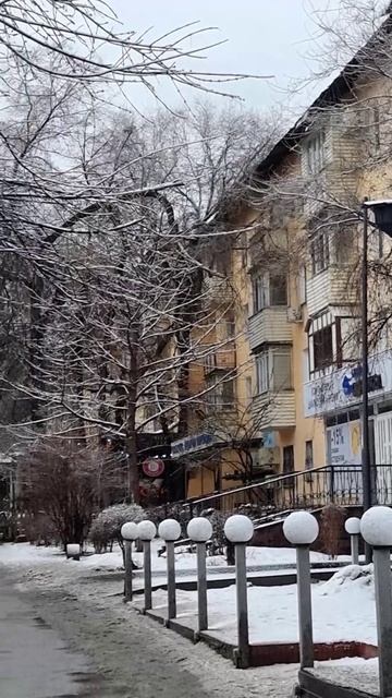Утро Алматы. 08.03.2025.