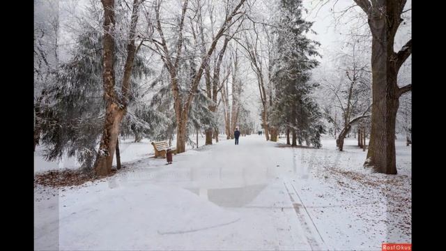 А Д А Ж И О         ( и снова зима )