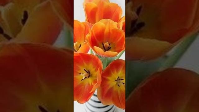 отзывы