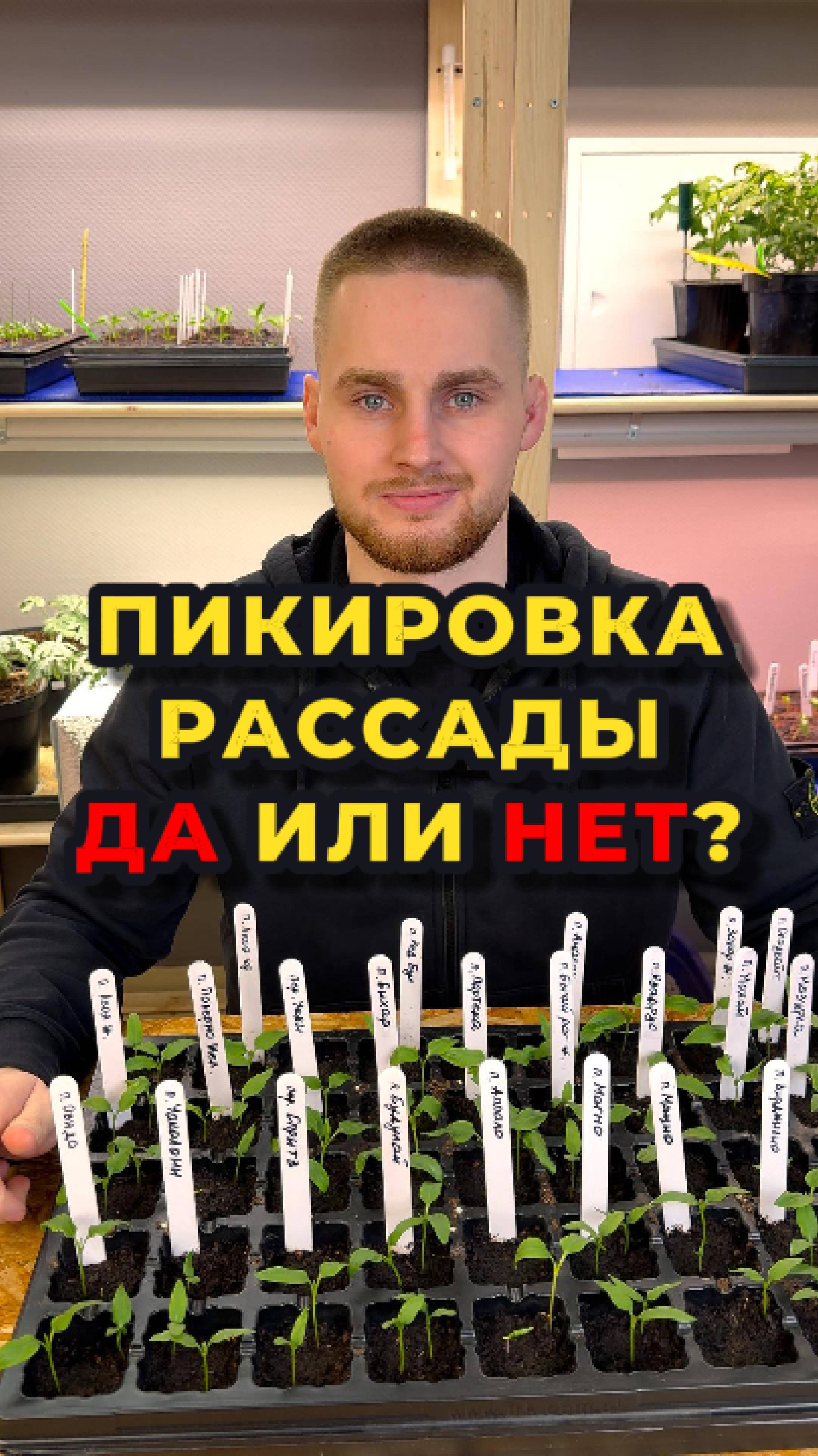 Стоит ли делать пикировку рассады?🤔🌱