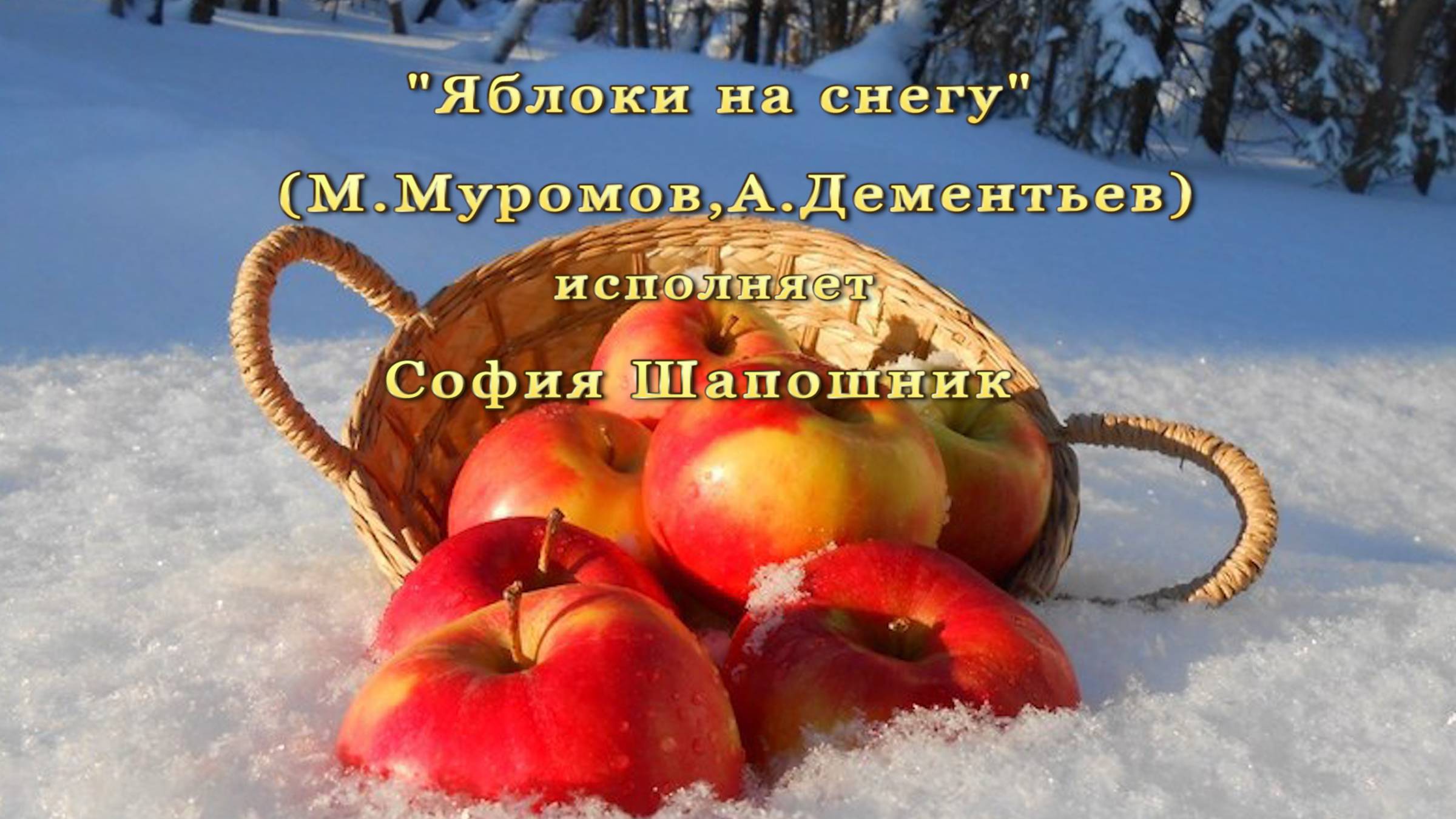 "ЯБЛОКИ на СНЕГУ" (М.Муромов,А.Дементьев) - поёт София ШАПОШНИК