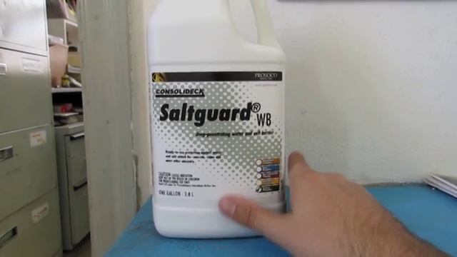 Prosoco Saltguard WB