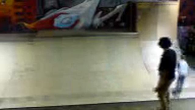 Adrenalin Skate Park - Small Half-pipe