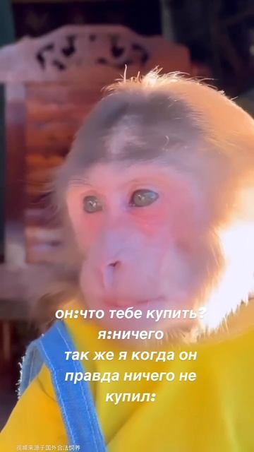 Скачивай еще больше бесплатных сторис, стикеров и видео фонов у меня в ТЕЛЕГРАМ канале!