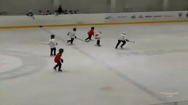 Красная звезда - Академия г.Пермь, 11 - 10