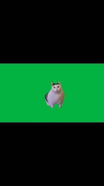 Футажи котов часть 2