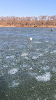 Кормлю птицу на рыбалке #случайнарыбалке