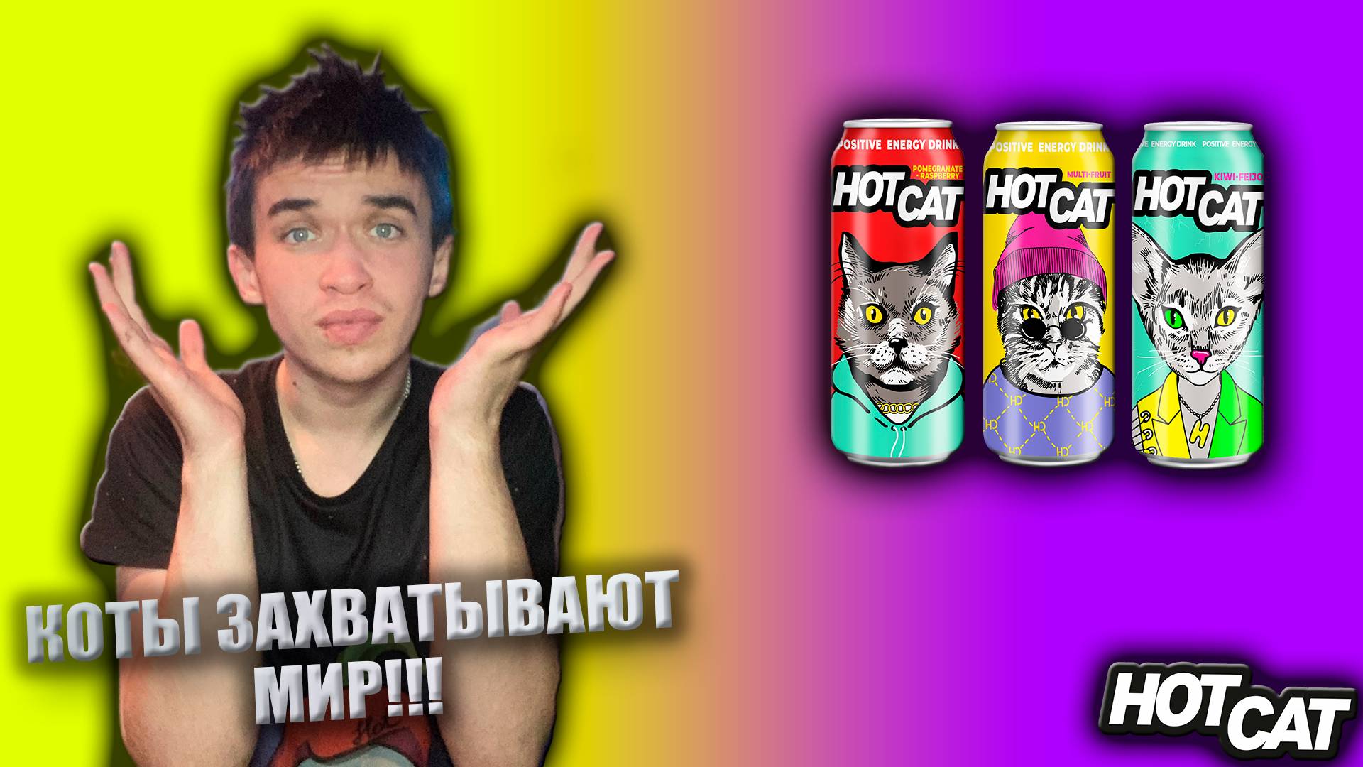 КОТЫ ЗАХВАТЫВАЮТ МИР!!! | ПРОДУКЦИЯ HOTCAT