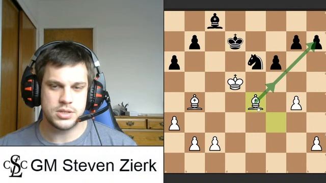 Checkmate in the Endgame | Insane in the Endgame - GM Steven Zierk