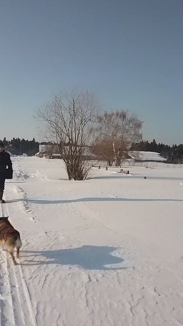 VID_20250309_093528