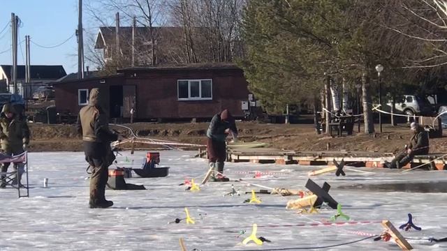 примка форели