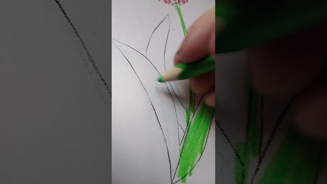VID_20250309_142826.mp4