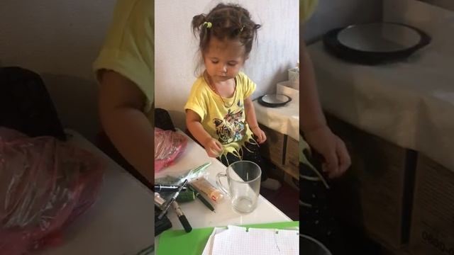 VID-20220808-WA0006