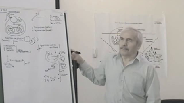 Профессионал. О жречестве Отношение предиката и субъекта Взаимодействие с блоком культуры 2013