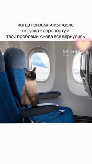 😎
