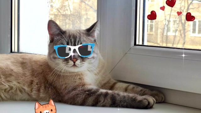 Пришла Чумачечая весна! Нам теперь не до сна!😄😻😻💕