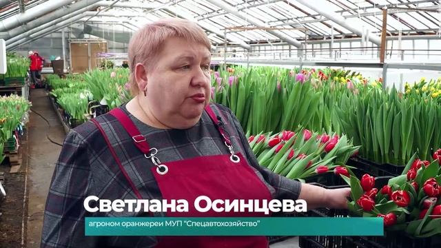 (7.03.2025) Более 29 тысяч тюльпанов вырастили в городской оранжерее к весеннему празднику