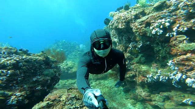 Freedive Brunei, Part IV
