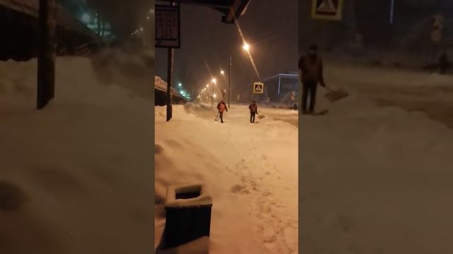 Бек снег Зеленоград
