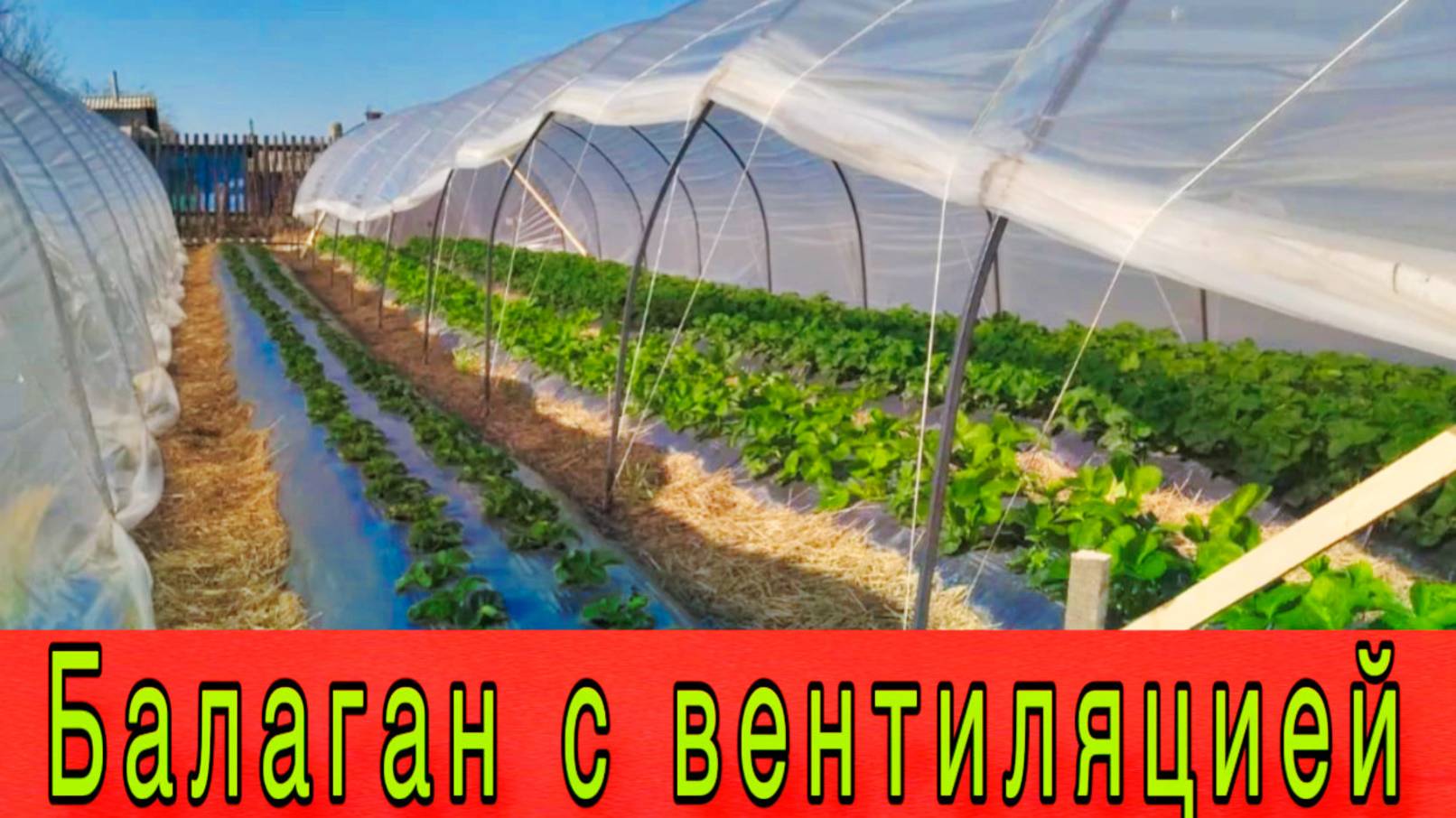 Балаган с вентиляцией