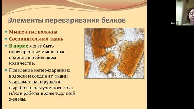 4.1 Лаб.диагностика. Исследование кала