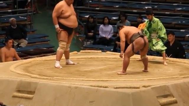 Sumo wrestling Division Six (jonokuchi division) March 24 2016 EDION Arena Osaka