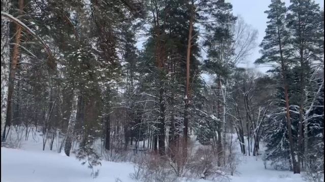 На самом деле женщины проще чем кажутся