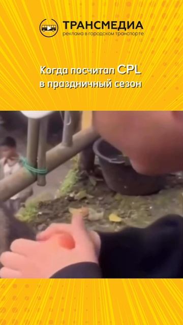 ура ура ура