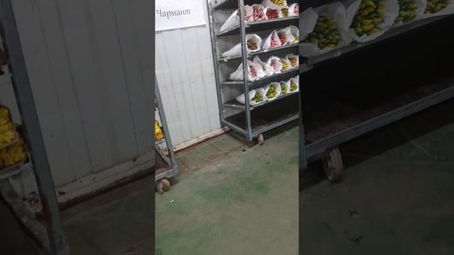 совхоз московский. прогулка. цветы