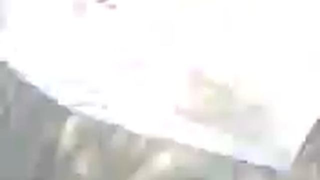 Ricky zlostavlja slona :D