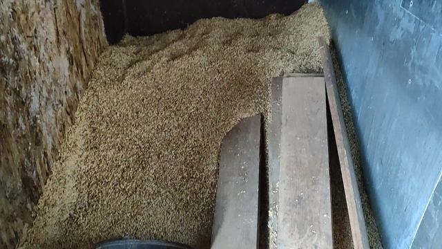 Жизнь в русской деревне/Март,тает последний снег/осеменили корову