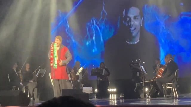 Эндрю Доналдс Альметьевск Татарстан 08.03.2025