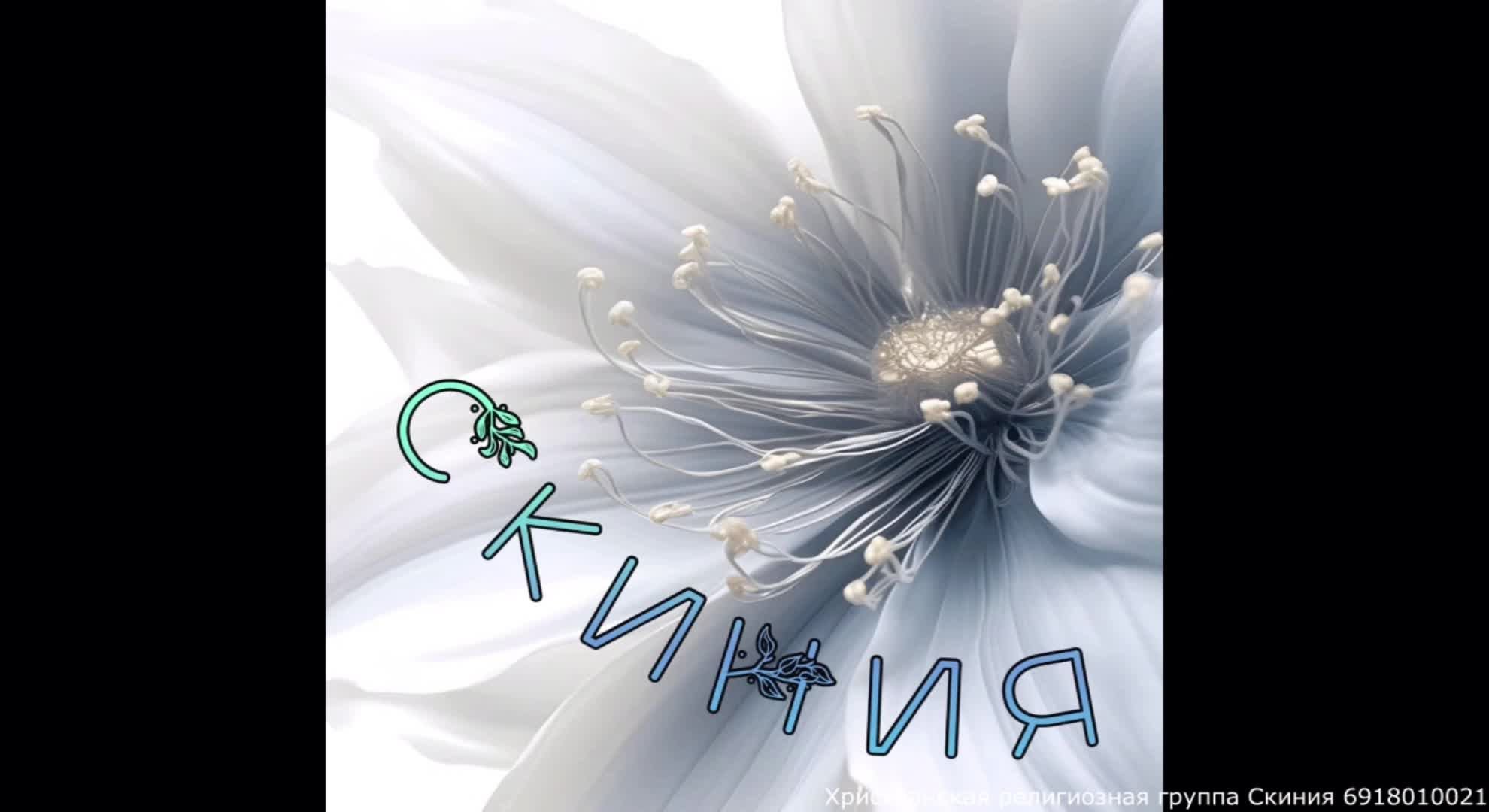 Скиния - прямая трансляция )))