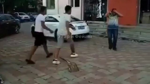 🤣
