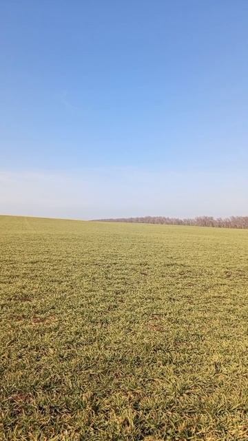 09.03.2025 #сегоднятак #сегодня #природа #nature #oggicosì #бүгін #oggi #hoy #今日 #today #오늘 #자연 #自然