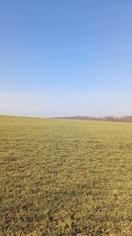 09.03.2025 #сегоднятак #сегодня #природа #nature #oggicosì #бүгін #oggi #hoy #今日 #today #오늘 #자연 #自然