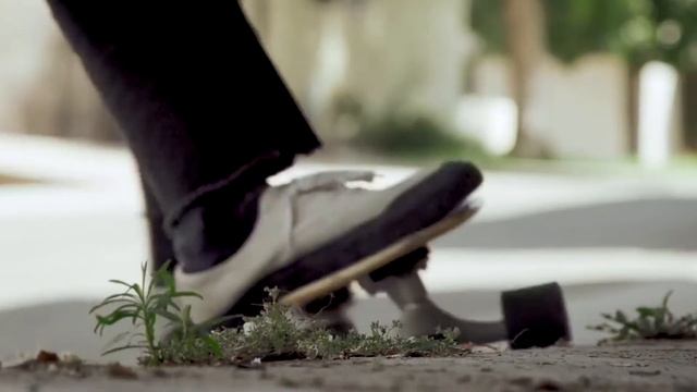 carver skateboard - swallow 29" - carver review