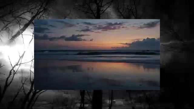 Ласковая-смерть-