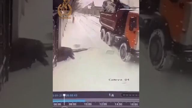 Вывоз мусора