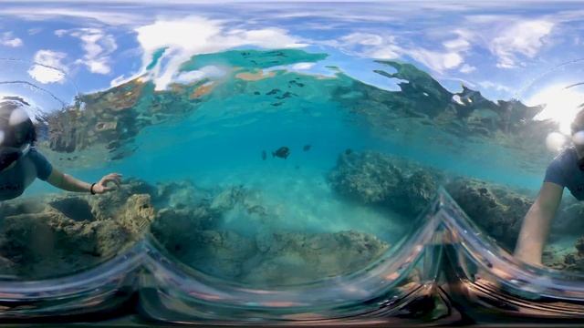 Snorkeling at Hanauma Bay (360 4K VR) | Oahu, Hawaii