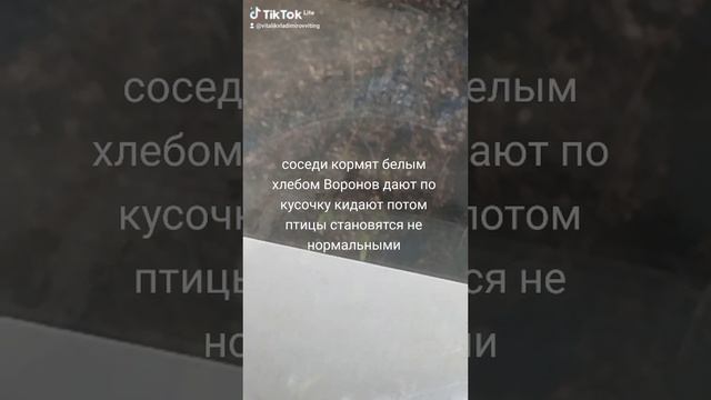 1000037303.mp4