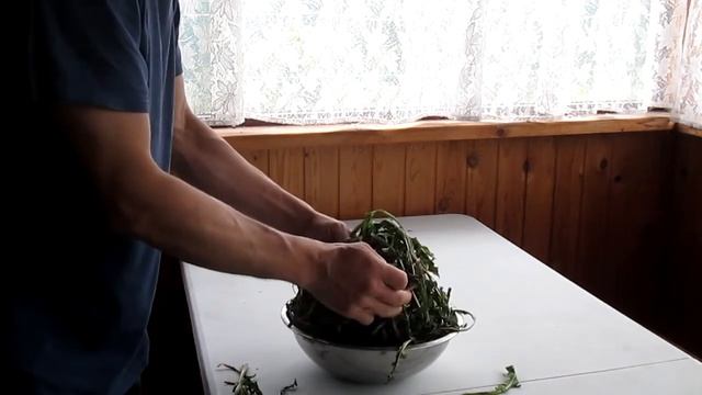 РЕЦЕПТЫ ОДУВАНЧИКА