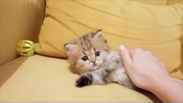 1000024409.mp4