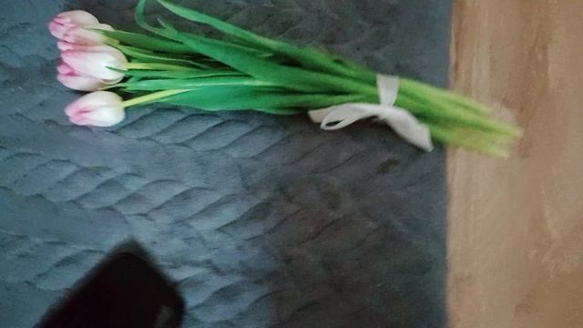 Папа подарил цветочки на 8 марта!!!!! 🙂😊☺🥲😁😄😃😀