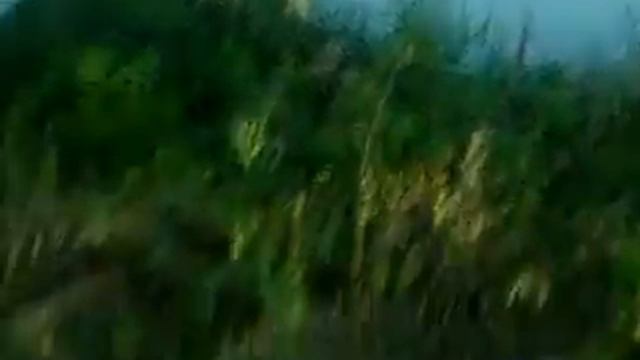 Тарзанка неудачный прыжок