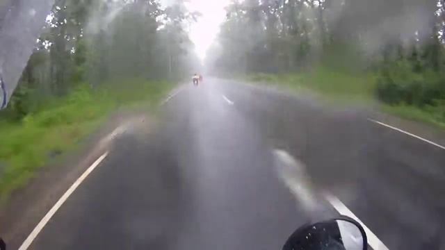 дорога в дождь