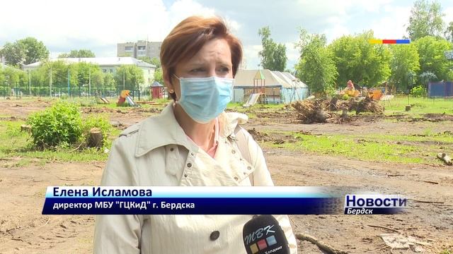 В этом году на реконструкцию бердского парка потратят 37 миллионов. Что предстоит сделать?