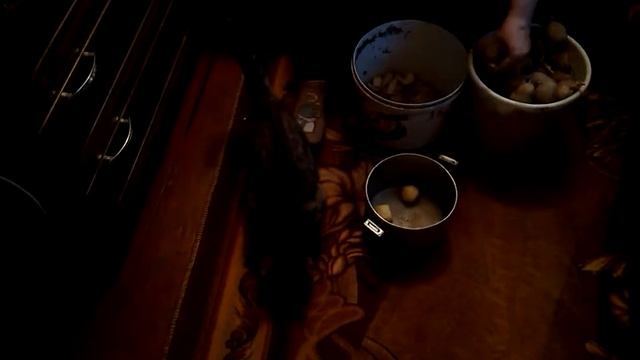 Кот ест картошку